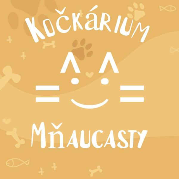 Mňaucasty